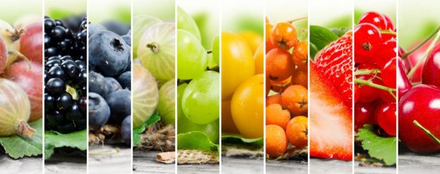 How to Choose the Best Supplement for Your Body?